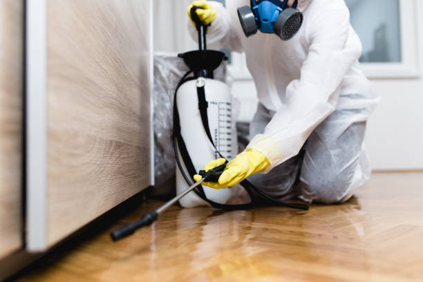 Best Termite Control Services  in Dade City North, FL