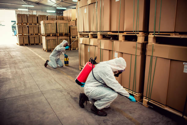 Best Mosquito Control Services  in Dade City North, FL