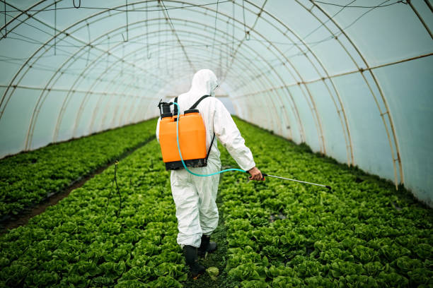Pest Control for Restaurants in Dade City North, FL