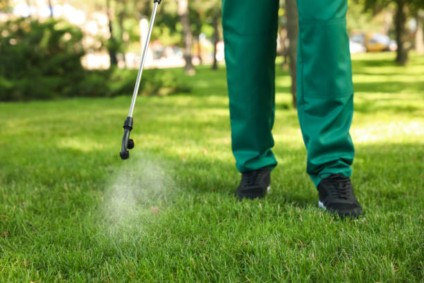 Best Affordable Pest Control Services  in Dade City North, FL