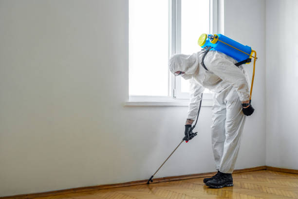 Best Pest Control Near Me  in Dade City North, FL