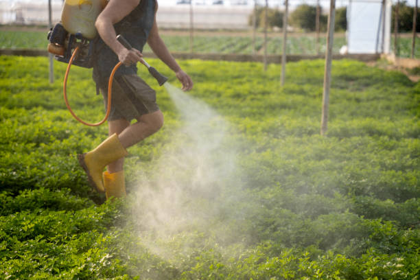 Best Affordable Pest Control Services  in Dade City North, FL
