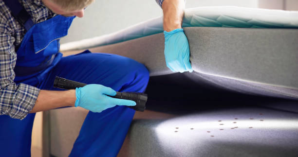 Best Cockroach Control Services  in Dade City North, FL