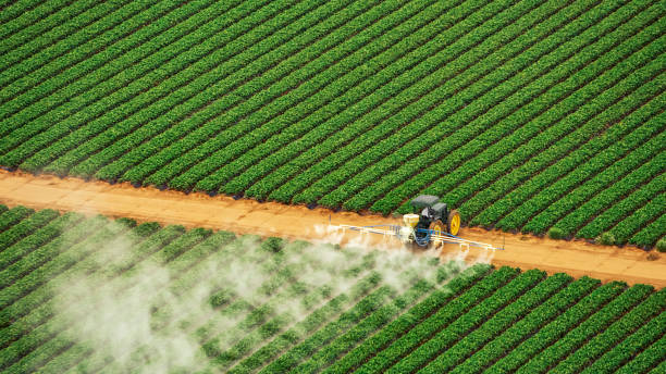 Best Commercial Pest Control Services  in Dade City North, FL
