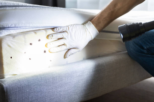 Best Bed Bug Extermination  in Dade City North, FL