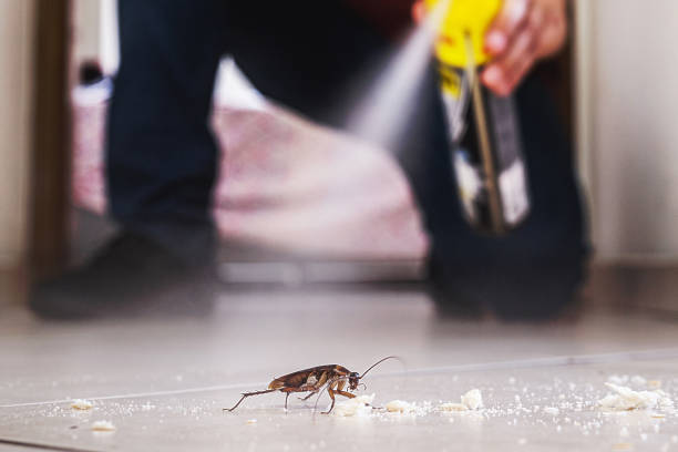 Professional Pest Control in Dade City North, FL