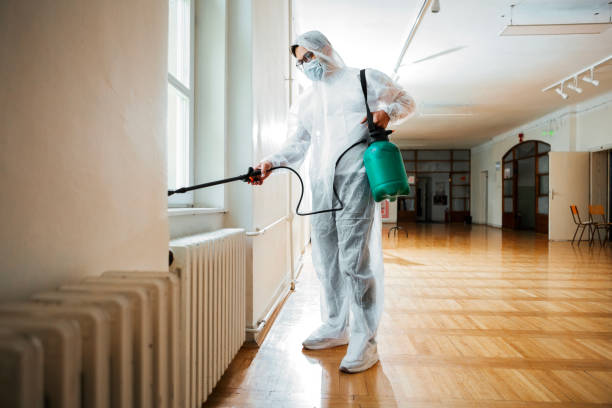 Best Best Pest Control Companies  in Dade City North, FL
